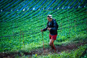 BIB: 
                            <button type="button" onclick="openModal(19160172)" class="btn btn-primary btn-sm float-right btn-popup" data-toggle="modal" data-target=".modal-high-quality">
                        <i class="fas fa-shopping-cart"></i> Add to Cart
                    </button>
                                            <button type="button" onclick="isThisMe(19160172, true)" class="btn btn-success btn-sm float-right btn-popup btn-isme hidden" data-toggle="tooltip" data-placement="bottom" title="นี่คือรูปของคุณใช่ไหม คลิกที่นี่เพื่อเอาเข้าอัลบั้ม">
                        <i class="fas fa-plus"></i> Add to album
                    </button>
                    <button type="button" onclick="isThisMe(19160172, false)" class="btn btn-warning btn-sm float-right btn-popup btn-isnotme hidden">
                        <i class="fas fa-ban"></i> Remove from album
                    </button>